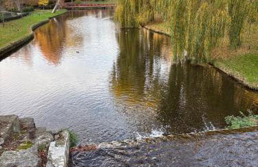 Little Vine Cottage in the grounds of Leeds Castle - Foto 43