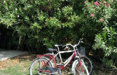 Villa Menta - Foto 1