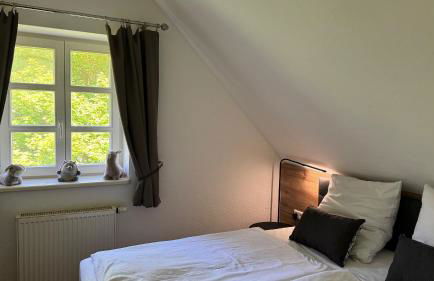 Feriendorf Rugana Insel Rügen Fewos Vogelgesang - Foto 35