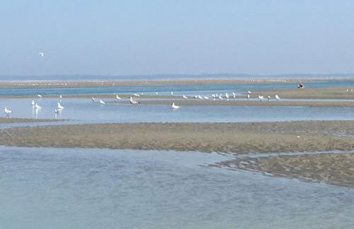 Maison de pêcheur rénovée à 3 mn de la mer. - Photo 33