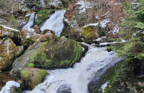 Black Forest Schwarzwaldliebe Pool Sauna Tennis Tischtennis Wifi Prime Tv Natur - Foto 28