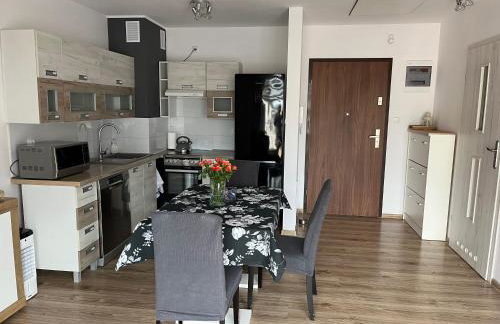 Studio Green - Foto 11