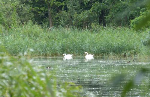 Jagdhaus Franz - Foto 14