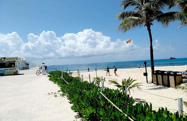 Playa Del Carmen Free Tour - Foto 2