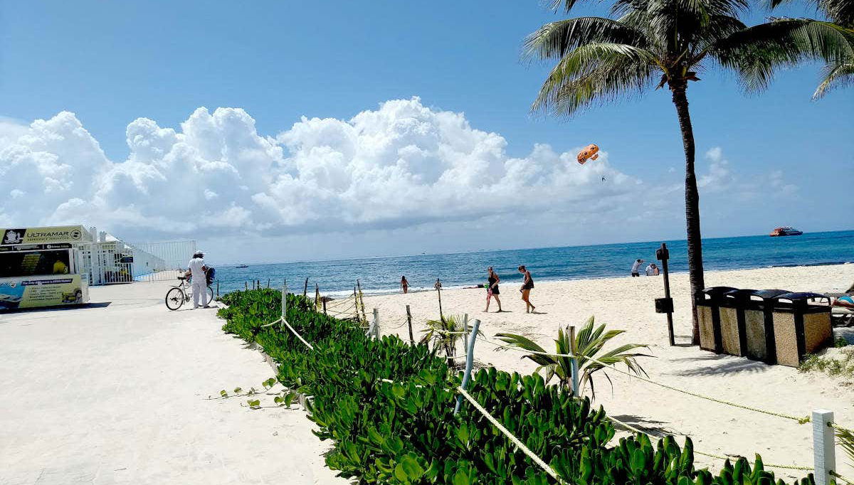 Playa Del Carmen Free Tour - Foto 2