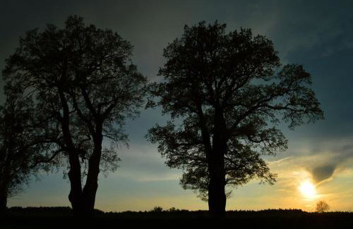tuŻur domki nad potokiem - Foto 11