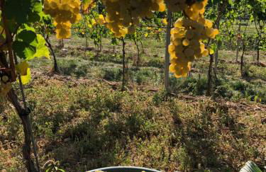 Workers Lodge für 4-14 Pers, Parkplatz, Wlan, Einzelbetten - Foto 30