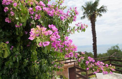 Apartment Alba - Photo 43