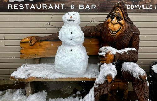 Family-Friendly 3BR Home w Bunk Room & Yard - Photo 48