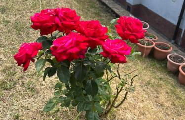 Villino Cecchini - Foto 33