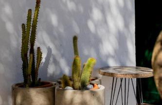 Villaluminosa - Photo 30