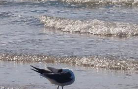 Embrace the refreshing breezes! - Foto 30