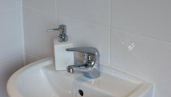 The Allendale Wolf - Foto 2