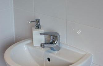 The Allendale Wolf - Foto 2