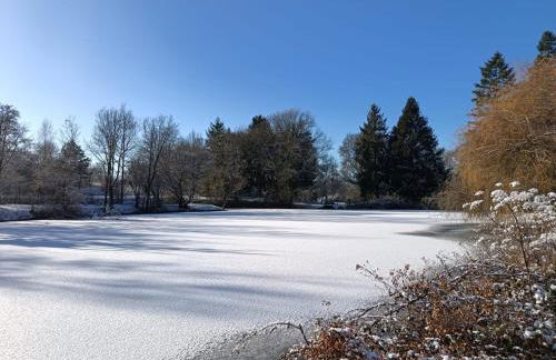 GÎTE "LES GRANGES D'ANTAN" - La FORGE - - Photo 41