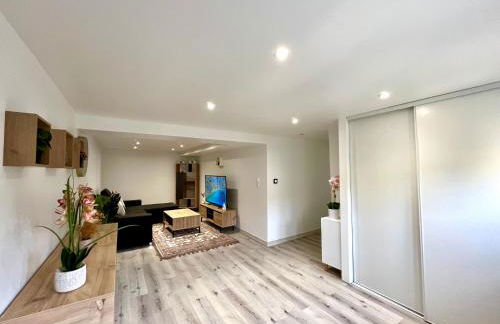 Beau T3 à 15 min de Lyon - Foto 8