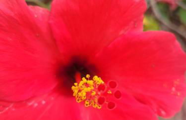 La Llar de Laura - Foto 67