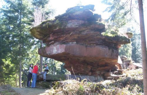 Gästehaus Brigitte Schoch - Foto 23