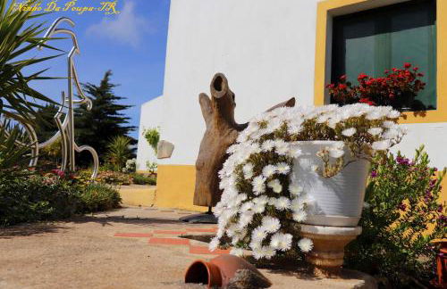 Ninho Da Poupa - Foto 15