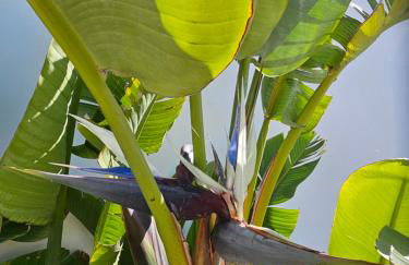 Casa Aria by Jdvacanze - Foto 36