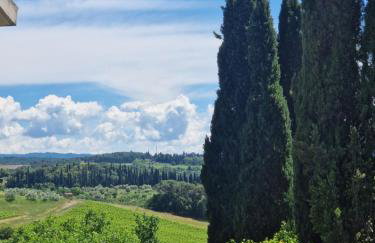 Santa Cristina - Photo 7