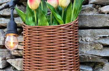 Woodland Cottage - private courtyard - Pet Friendly Retreat in the heart of Windermere - Photo 20