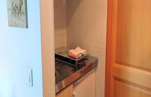 Flat in Alsace near Vosges Nature Park - Foto 5