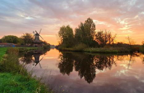 Gulfhaus Alte Meesterei - Foto 61