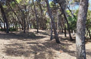 OASIS ESCAPE - Foto 16