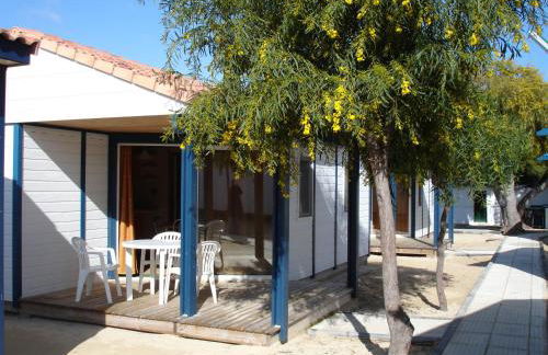 Orbitur Ilha de Armona - Foto 6