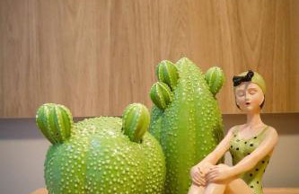 APARTAMENTO 05 - PÉ NA AREIA - BARRA BALI - AL - Foto 28