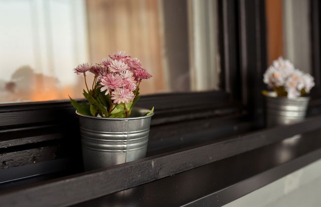 Homey - Bulevardul Carol 1 no. 45 - Foto 77