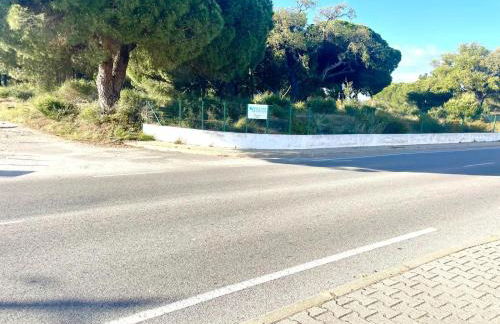 Toca das Manas - Foto 51