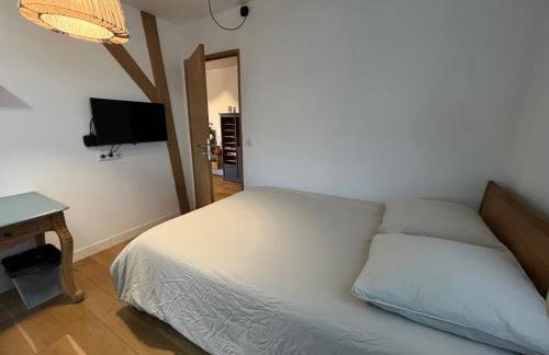 Les Rives Rémoises - Foto 26