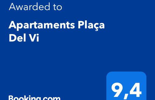 Apartaments Plaça del Vi - Foto 3