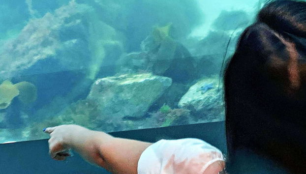 8 Person Holiday Home in Lindesnes-by Traum - Foto 3, Diversos