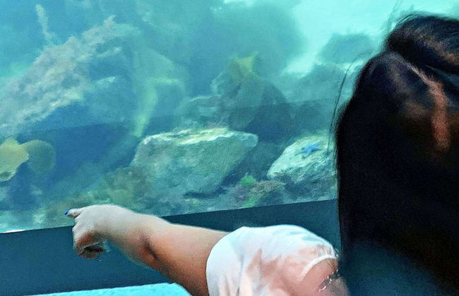 8 Person Holiday Home in Lindesnes-by Traum - Foto 3