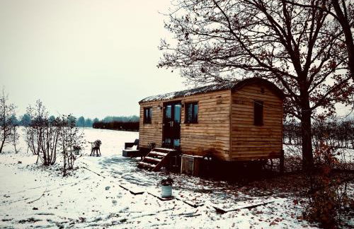 The Dragonfly - Luxury Lakeside Shepherds Hut - Foto 26