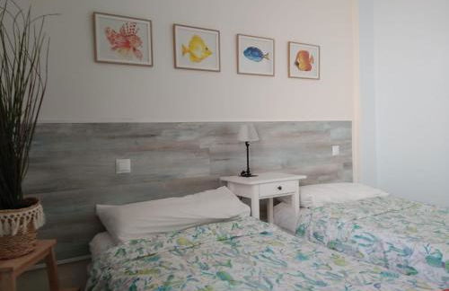 calandria las palmas - Foto 14