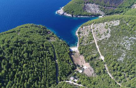 Robinson house Orlandusa - Foto 36