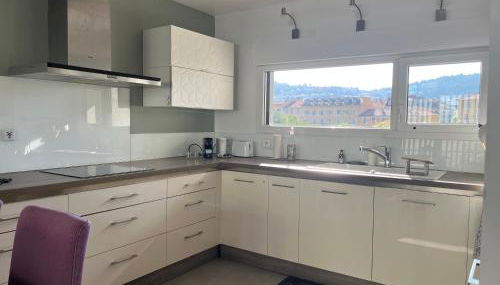 3 pièces central au pied de la promenade du paillon - Foto 4