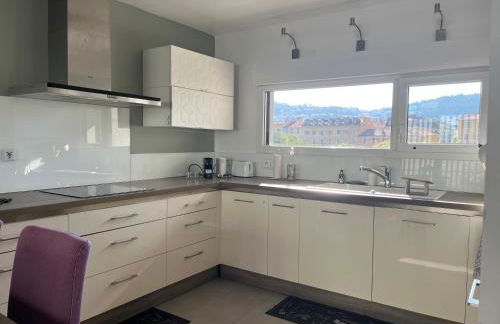 3 pièces central au pied de la promenade du paillon - Foto 4