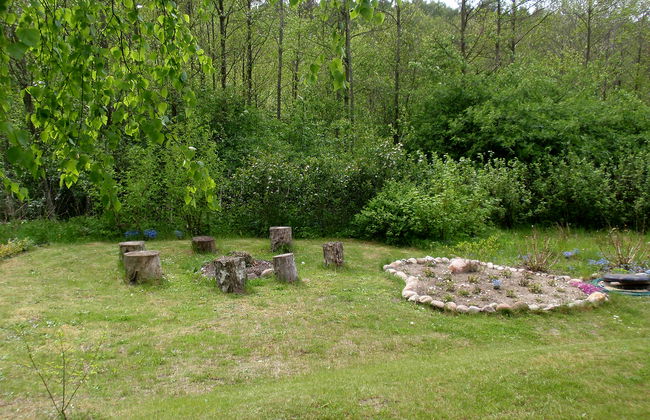 Borowikowa - Foto 18