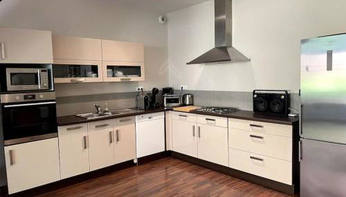 La Liberté, Loft 90 m2 rénové centre-ville, terrasse amenagee, jeux & parking - Foto 3, stove, dishwasher, toaster