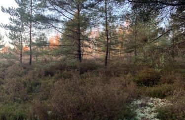 La petite maison - Foto 24