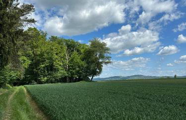 Apartment Waldblick - Entspannung auf dem Land - Foto 37