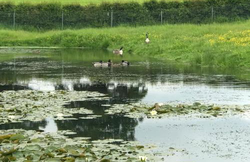 The Stables and Granary at Shawbroom Farm - Foto 7