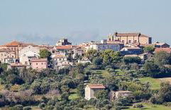 Happy House Montemarciano - Foto 1