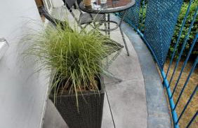 Berlin-Oase - schnuckelige Ferienwohnung an der Grenze zu Berlin - Foto 18