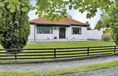 Forester's Cottage - Foto 11